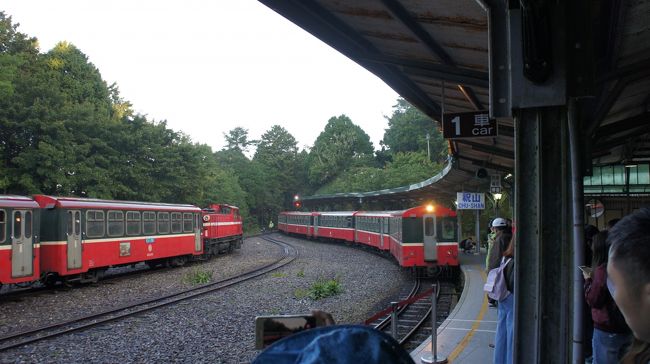 記念すべき10回目の訪台は、夏の阿里山へ！<br />台風でフライトは大丈夫か？多雨の8月に日の出は見られるか？と心配はありましたがすべて問題なく、今回も満足の台湾旅行となりました。<br />2018年8月現在、阿里山森林鉄道はまだ全線復旧に至らず、今回は嘉義からの往復にバスを利用しています。<br />初めて訪れた嘉義、阿里山についてお店や移動手段などを中心にまとめます。<br /><br />■1日目<br />　羽田-台北松山(BR)<br />　新幹線で嘉義へ移動、嘉義泊<br />■2日目<br />　嘉義から台湾好行バスで阿里山へ<br />　林道を散策、阿里山賓館に宿泊<br />■3日目<br />　阿里山森林鐵路で祝山へ、日の出鑑賞<br />　嘉義に戻って市内をぶらぶら、嘉義泊<br />■4日目<br />　嘉義から台北へ、食べ歩きとお土産を物色<br />　台北松山-羽田(BR)<br /><br />これは旅行記 1/2, 出発から台北→嘉義→阿里山賓館までです。<br /><br />2/2 はこちらです → http://4travel.jp/travelogue/11391761