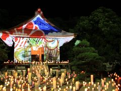 能登國一宮 気多大社で光の競演