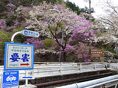 要害山　武田信玄生誕の地はツツジが見頃