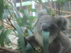 終戦記念日に東松山のピースミュージアム　動物園にも行ってみた