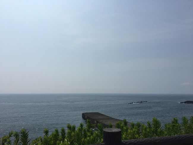 家族3人(私、息子3歳、夫)で、海水浴のためジェット船で伊豆大島へ行きました。<br />日帰りでしたが、猛暑の伊豆大島での海水浴、地元の名物グルメ、温泉を堪能できました!