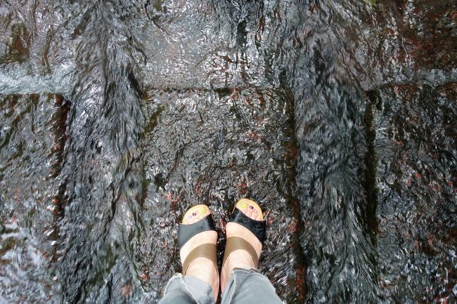 涼しくない水辺(これもシリーズ化？) 灼熱の三島VS雷雨の熱海〈三島独り歩きpart2〉      