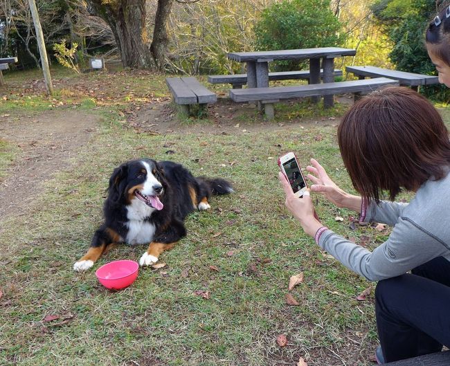 バーニーと行く和歌山県　過去をほじくり返して「4トラ白地図」を埋める・・・その4