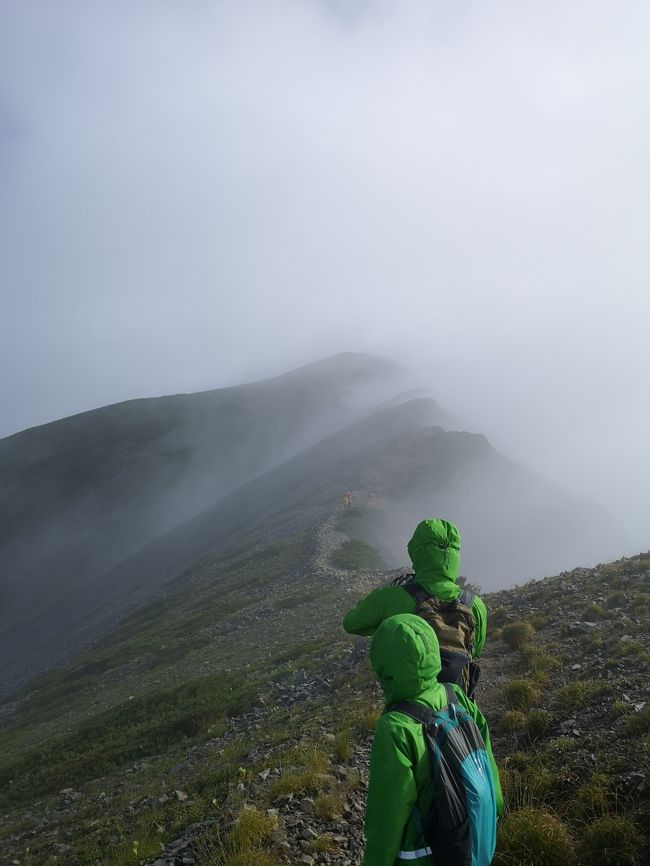 一昨年の立山、昨年の仙丈岳に次いで、今年の夏も山へ向かうことにした。稜線歩きと立山を見たくて今年は後立山の鹿島槍ヶ岳にした。7月に行った西穂高の天気が素晴らしかったのでそのイメージで向かったのだが…やはり山は手ごわい相手なのだった。<br /><br />【1日目　8/11】<br />東京12:15出発～関越自動車道練馬IC～三芳PA～上信越自動車道～<br />東部湯の丸SA～長野自動車道～麻績IC～大町<br />《宿泊》オチコチビレッジ<br />【2日目　8/12】<br />大町5:10出発～無料市営駐車場～柏原新道6:10～種池山荘11:00～冷池山荘15:00<br />《宿泊》冷池山荘<br />【3日目　8/13】<br />冷池山荘5:40出発～鹿島槍ヶ岳南峰7:25～冷池山荘9:20～種池山荘12:25<br />《宿泊》種池山荘<br />【4日目　8/14】<br />種池山荘6:50出発～無料駐車場10:10～薬師の湯～日向山茶屋～大町山岳博物館～葛温泉15:10<br />《宿泊》高瀬館<br />【5日目　8/15】<br />葛温泉8:30～七倉駐車場～くろよんロイヤルホテル～カフェえんとつ～道の駅安曇野松川～道の駅アルプス安曇野ほりがねの里～長野自動車道安曇野IC～上信越道～横川SA19:30～関越道～自宅<br /><br />