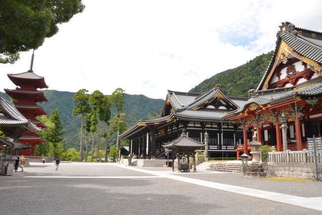 父は亡くなった年の正月に身延山久遠寺を訪れていました。その形見の記念写真はいつも私の免許入れにしのばせてあるのですが、旧盆ということもあり、訪れてみたくなりました。以前は枝垂れ桜が美しい３月で雪が残っていたのですが、今回は都会の酷暑から逃れられる爽やかな夏の山といったおもむきでした。<br />新東名の新富士インターでおり、無料化された西富士道路を北上し、北山本門寺へと向かいました。今回は富士山本宮浅間大社も富士宮やきそばも失礼しました。<br />北山本門寺は富士山法華本門寺根源と称される日蓮宗の霊跡大本山です。さすがの立派さであり、境内に入ると厳かな気持ちにさせられます。仁王門・二天門をくぐり本堂（御影堂）へお参りできます。本堂へ向かって左へ坂を下ると大庫裡があり、こちらもただの寺務所とは一味違います。御朱印はこちらで頂けます。駐車場は仁王門に向かって左にあります。<br />さらに北上し朝霧高原へと向かいました。まかいの牧場はまだオープンしていない時間だったので、その先にある道の駅朝霧高原で休憩です。ここはあさぎりフードパークも隣接している大規模な施設ですが、夏休みなので駐車場はほぼ満車状態でした。牛乳を腰に手を当てて堪能しました。<br />さらに北上し、キャンプのテントが林立する本栖湖畔に沿って進むと、「本栖みち」と呼ばれる国道３００号線を、身延へと向かっていよいよ下ります。トンネルを過ぎ、町境を越えて身延町に入ったあたりから、５km弱のヘアピンカーブが続きますから、丁寧なハンドル操作が必要です。このカーブを解消するためか大規模なトンネルと道路の近代化工事が進行中のようでした。国道５２号線に入ると走りやすい道となり、しばらくすると身延山へ向かう案内看板も出てきます。<br />身延山三門付近にも駐車場はありましたが、ロープウェイの駅直下にも大きな駐車場があります。少し下がった所に御廟と草庵跡があります。久遠寺へは斜行エレベータが設置されており、お年寄りでもお参りしやすい設備が整えられていました。<br />身延山久遠寺は日蓮聖人が９年間修行や門弟たちの教導をした日蓮宗の総本山です。本堂を中心とした大伽藍は、ここが山梨の山中であることを忘れさせる驚きの規模です。五重塔・祖師堂なども必見ですが、御朱印を頂ける報恩閣などに入ると、回廊で他の幾つもの建物とつながっており、立ち入れるエリアだけでも十二分に堪能できる充実度ですので、是非巡ってみてほしいと思います。<br />また、本堂の裏手からロープウェイに乗ると、山頂の奥之院思親閣へもお参りできます。ここでは別の御朱印もいただけます。「苦死切りだんご」と呼ばれる串だんごも味わいましたが、秘伝の味噌だれに特徴がある、食べ応えのある名物でした。<br />その後、三門から総門への門前町を下り、ＪＲ身延駅へと向かいました。みのぶまんじゅうも買い求め、富士川沿いを下ると、南部の火祭りの準備が見られました。一度見てみたいものです。途中から右に折れ、静岡市清水区へと向かいます。清水港の河岸の市でまぐろも堪能して帰宅の途につきました。