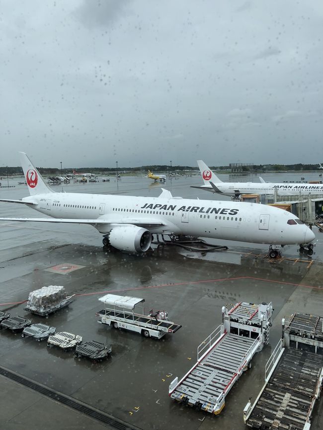 台風の襲来にも負けず 初オーストラリア大陸上陸 ０日目 １日目 メルボルン オーストラリア の旅行記 ブログ By Ayakasissyさん フォートラベル
