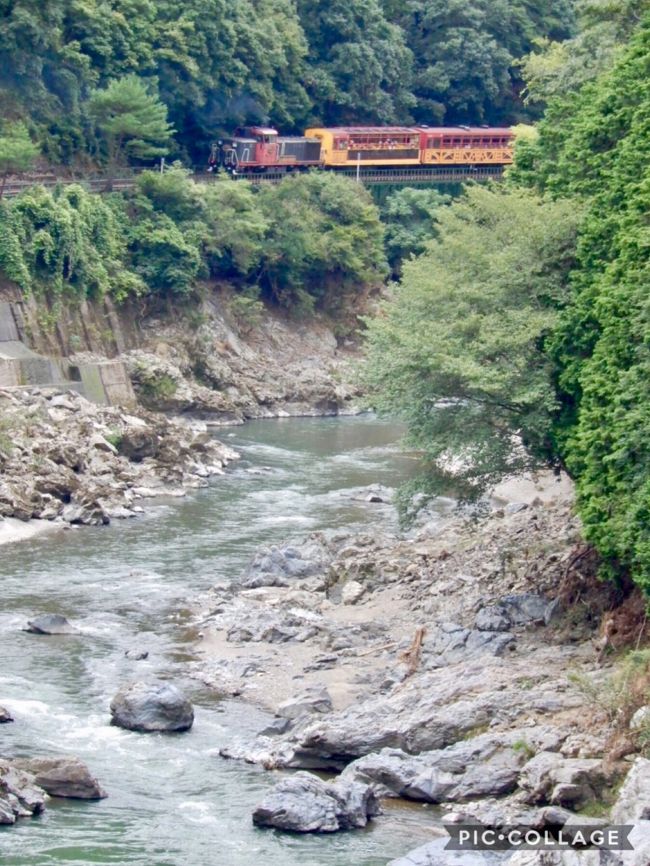 私が滞在している嵐山は嵐電（京福鉄道）の「嵐山駅」<br />いわゆる渡月橋がある観光地の嵐山です<br /><br />で、通勤で利用している嵐山はJR嵯峨野線の「嵯峨嵐山駅」<br /><br />嵐山駅から嵯峨嵐山駅は徒歩10分ですが<br />中村屋さんで昼食のパンを買って行くのが日課になってたので<br />ホテルは15分前に出てました<br /><br />お仕事ですが、毎日カメラはしっかり持参(^^;;<br /><br />JR車内から保津峡の景色がチラッチラと楽しめるのです<br />なので毎日撮ってはいたんだけど…<br />結果は毎度毎度撃沈(ﾉД`)<br /><br />JR結構なスピードで走るのです<br />ブレッブレの写真が山のようにたまり<br /><br />これじゃぁ あかん！ って事で閃いたのが<br />それなら降りればいいやん！<br /><br />朝の時間帯で15分に1本のダイヤ<br />なので一つ早いのに乗って行けば、保津峡のホームで撮影時間が確保できる<br /><br />我ながらいい事を思いついた！<br />えっ？5日目に思いつくなんて遅いですかね(^◇^;)<br /><br />しかもですね<br />私はただただ保津峡を撮りたかっただけなのに<br />そこに突然トロッコ列車が現れたもんだからビックリ！<br /><br />慌ててカメラをバッグから出し…撮ったのでした<br /><br />そっかぁ～♪ 来るんやぁ～♪ この時間にトロッコ撮れるやぁ～♪<br />って事で、次の日も1本早いのに乗車<br />今度はちゃんと設定して待つ(^^)v<br /><br />ただね、昨日はお日様ぴーかんの青空で川の色も綺麗だったんだけど<br />あいにく2度目は曇り空で、水面もどんよりだったのが残念かなー<br /><br />それとね、8/11が亀岡の花火大会だったらしく<br />帰りのホームで思わぬ花火鑑賞ができ、これまたラッキー♪