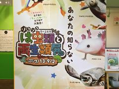 3歳児と行く☆なかがわ水遊園