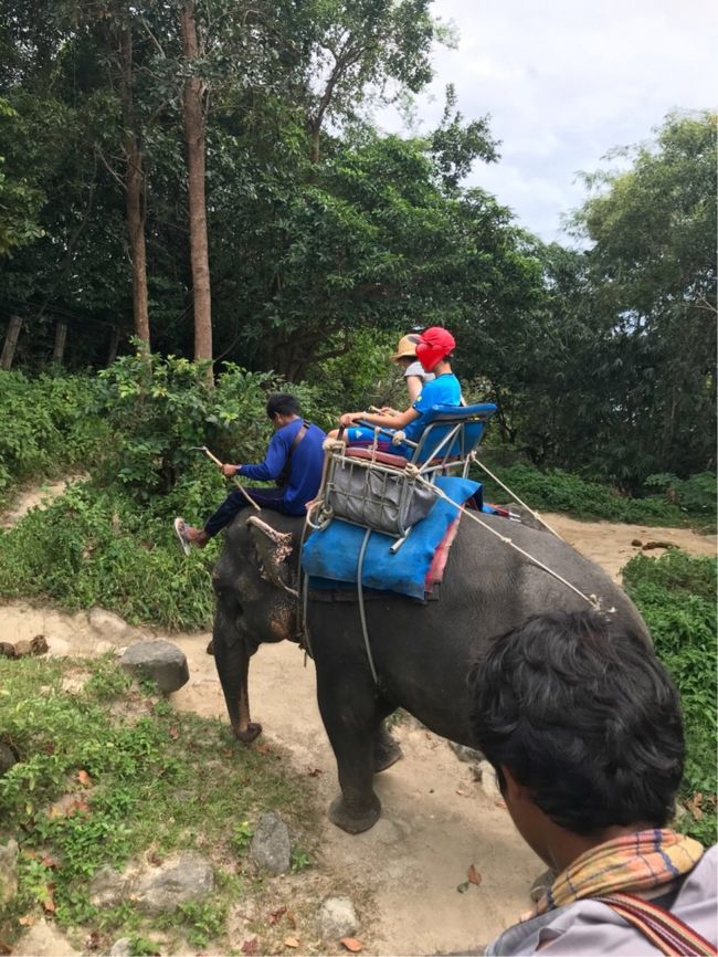 毎年恒例の夏休み旅行。<br /><br />娘が小学生になったので、中学生になった息子と初のアジア、プーケットにトライしました。<br /><br />像さん乗り、カイ島、パンガー湾ツアー、パトンビーチにバングラ通りの散歩、屋台街の食事やジャンクセイロンでの買い物とパトンの街を満喫しました。<br />現地は雨季ですが毎日晴れ間があり、楽しい旅になりました。<br />予約も初めてエクスペディアを利用、雨季だからか、格安でした。<br />帰国日に成田を台風が直撃、帰国便が大幅に遅延するハプニングもありましたが、便を翌日に振替し、さらに1日パトン街を散歩しました。<br /><br />今回、この旅行記の情報で色々助かりましたので情報提供させて頂きます。