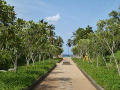 スリランカ・世界遺産とリゾートの旅　Part２