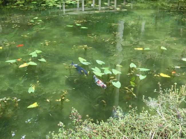 日本百名山★「駒ケ岳」「乗鞍岳」を目指して長野県へ<br /><br />8/11　岐阜県関市板取「モネの池」寄り道鑑賞<br />8/12　駒ケ岳　濃霧と雨と「頂上空中散歩」<br />8/13　乗鞍岳　雷注意報発令中　遭遇「雷鳥の親子」　<br />8/14　乗鞍岳ご来光　「ご来光」と「富士山」と「穂高連峰」<br />