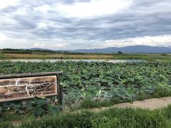 新潟への家族旅行 ①