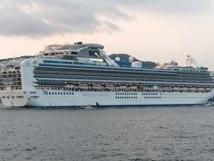 朝の散歩時に、アメリカの豪華客船Diamond Princess（三菱重工建造）を目撃！