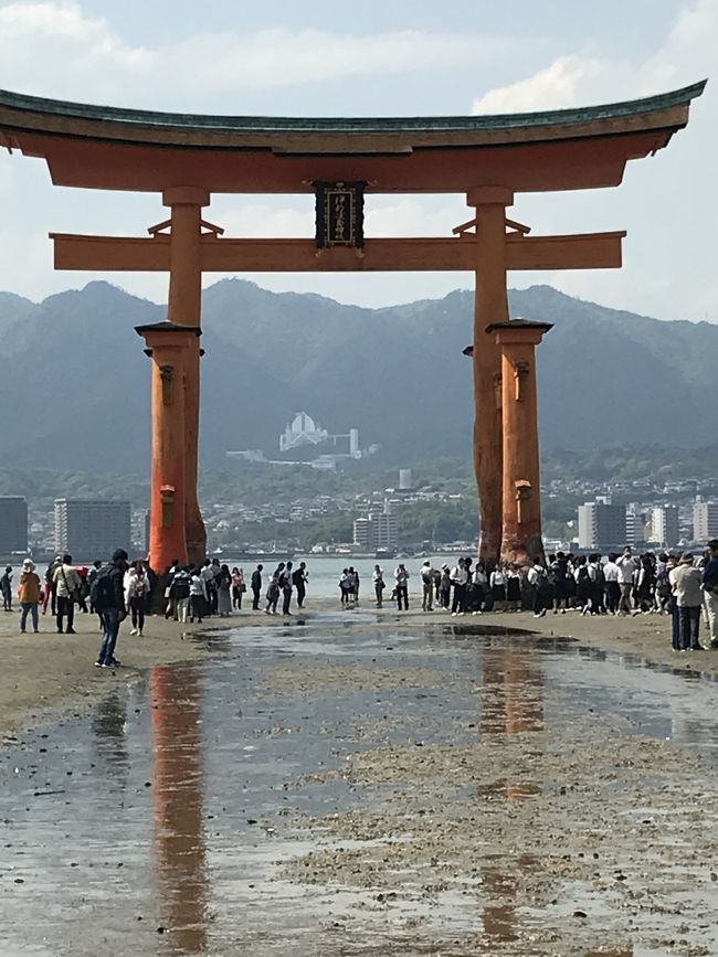 2日目は島根から広島に向かいます。目指すは厳島神社です。私は30年ぶりくらいで、本当に久しぶりですが、娘は初めての厳島神社。今回は干潮で大鳥居まで歩いて行けましたが、満潮時の海に浮かんだような神秘的な厳島神社を期待していたので少し残念でした。商店街では、昔はなかった「揚げもみじ」などの食べ歩きが楽しかったです。