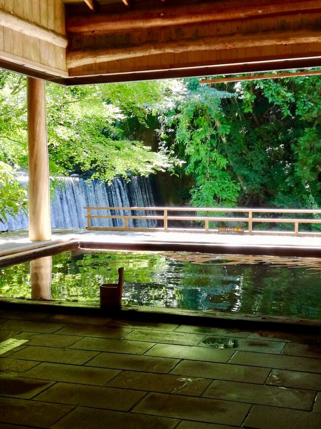 お盆も終わり ヤレヤレヤレ( ̄▽ ̄)<br /><br />昨日までの 酷暑と うって変わり<br />な…なぜー?と言うくらい 秋のように 爽やかになった今朝…<br /><br />うん!温泉だな♪<br />「かやぶきの郷 薬師温泉 旅籠」に お出かけです(^_-)<br /><br />以前 姉妹館の ゆとりあん を書いた事が有りますが<br />そこを もっと観光施設を充実させた感じ<br />雰囲気はよく似てます^_^<br /><br />温泉を堪能し<br />期せずして パワースポットに詣でて??の<br />1日になりました(≧∀≦)<br /><br />
