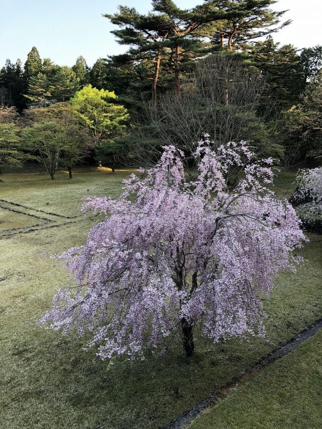 年に数回オットとの旅行は温泉一泊が多いのですが、今回は数年ぶりに日光へ<br />某保養所に泊り観光は最小限にしてきれいな景色を楽しんできました。