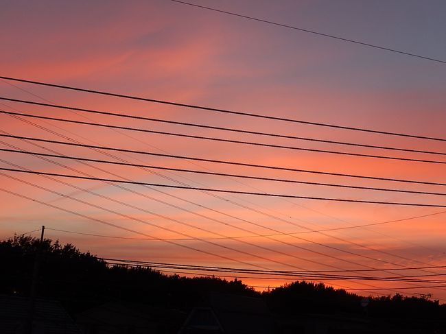 8月18日、ふじみ野市西鶴ケ岡地区で午後6時半頃に素晴らしい夕焼けが見られました。<br /><br /><br /><br /><br />*写真は素晴らしかった夕焼け