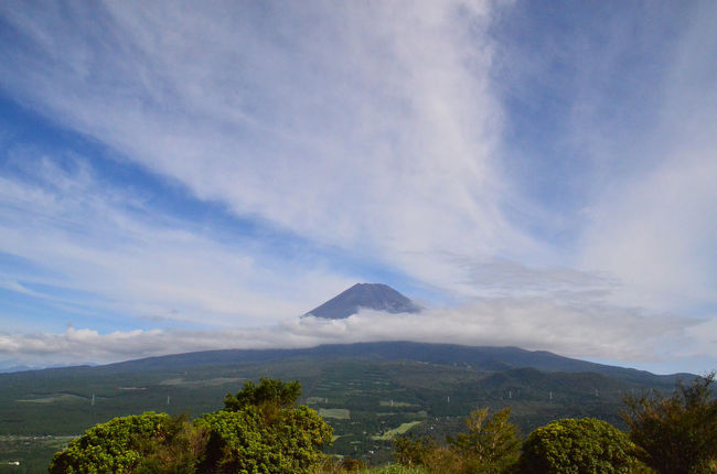 朝起きると毎朝の散歩が終わっても富士山が見えていました。<br />そこで、十里木へ行って来ました。<br />