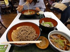 １７．妻の親兄弟と飲む甲府1泊　駿河湾沼津SAのフードコートの昼食　佐野体験農園 タマネギの収穫