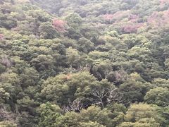 箱根富士屋ホテル