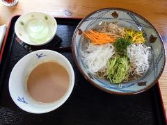 手打ちそば いしどうの昼食　三島市佐野体験農園 夏野菜の植え付け キュウリ・トマト・ズッキーニ・インゲンの収穫　