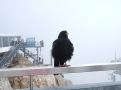 ドイツ＆ザルツブルク夏旅⑤　ツェークシュピーツヘ