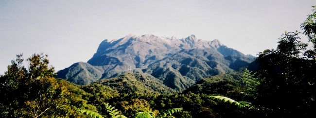 初めての東南アジアはボルネオ島＝1990年10月～11月