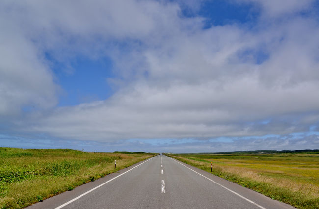 ラベンダーを求めて１２日間、総走行距離２．４９８ｋｍの北海道マイカードライブ旅。<br />北海道までは、往復、フェリー利用（舞鶴港～小樽港）です。<br />行程は小樽から日本海オロロンラインで稚内へ、そして、オホーツクラインで知床半島へ。<br />その後、屈斜路湖、層雲峡から、美瑛、富良野へ。<br />最後は、羊蹄山、積丹半島にも立ち寄って、帰路に。<br /><br />この旅行記は、ドライブ３日目の宿”てしお温泉夕映”から、<br />日本海オロロンライン（国道２３２号＆道道１０６号）を走り、稚内へ。<br />そして、日本最北端の宗谷岬（稚内）から、オホーツクライン（国道２３８号）で、<br />ベニヤ原生花園（浜頓別町）までの旅行記です。<br /><br />・稚内<br />　北海道本島最北のまち。宗谷海峡をはさんで東はオホーツク海、西は日本海に面し、利尻礼文サロベツ国立公園をはじめとする豊かな自然が広がります。年間の平均気温は７℃前後、最高気温も２２～２８℃と涼しく過ごし易い気候なので、夏でも快適な旅が楽しめます。サハリンへの玄関口でもあり、市内のあちこちに先人たちの歴史物語があります【稚内の楽しみ方パンフレットより】<br /><br />・宗谷岬<br />　北緯45度31分22秒。北方四島を除くと日本最北端の地である宗谷岬。北方四島を含めると択捉島(えとろふとう)が最北端です。宗谷岬にある日本最北端の地を表す記念碑は、平和や協調の意味が込められており、その他宗谷岬公園内には平和を願う様々な建造物が並びます。宗谷岬からロシアの樺太（サハリン）までは約43kmとかなり近く、天気がよくて空気が澄んでいる日には見る事もできますよ。また、宗谷岬のすぐ近くには丘陵地帯もあり、風車となだらかな丘が広がるほのぼのとした空間を楽しむ事もできます【観光ジャパンより】<br /><br />・稚内の観光情報はこちら<br />　　　　http://www.welcome.wakkanai.hokkaido.jp/