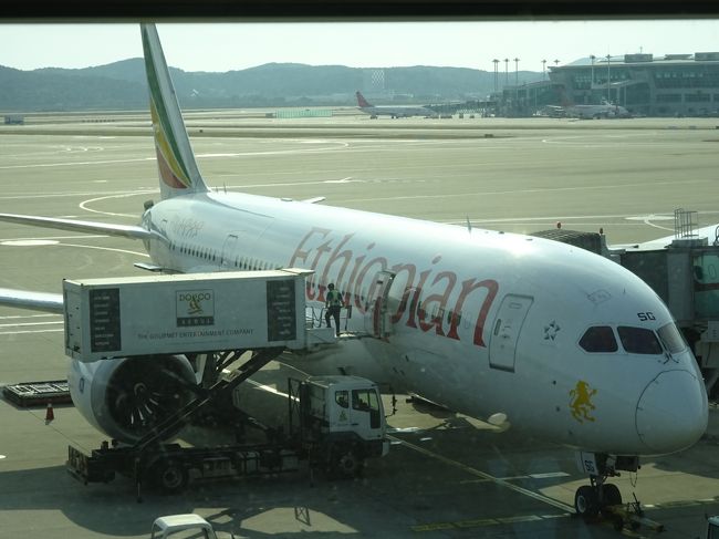 エチオピア航空は、これまで成田から香港を経由しアディスアベバまで飛んでいたそうですが、今年の6月から経由地をソウルへ変更したそうです(しかも、航空券がとってもリーズナブル)。<br /><br />さっそく利用してみたので、搭乗時の様子をお伝えしたいと思います。