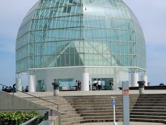 葛西臨海水族園-1　マグロ類//群泳　大洋の航海者　☆巨大水槽・アクアシアターの迫力