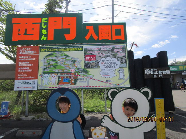 旭山動物園　おもしろい