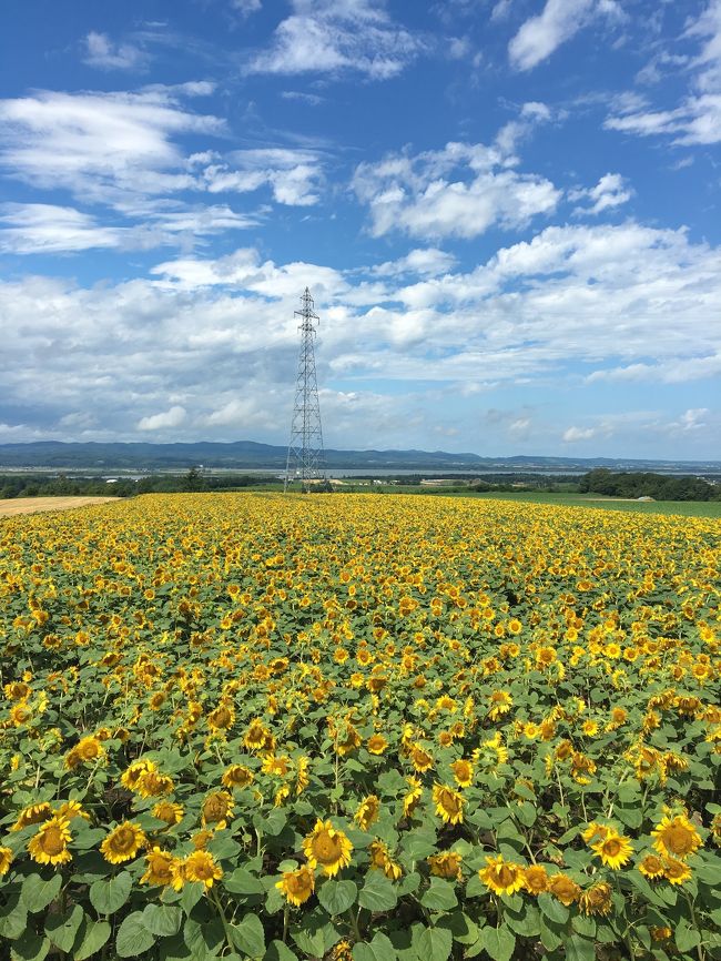 ちょっと遅めの夏休みで北海道に帰省　その４ 知床編