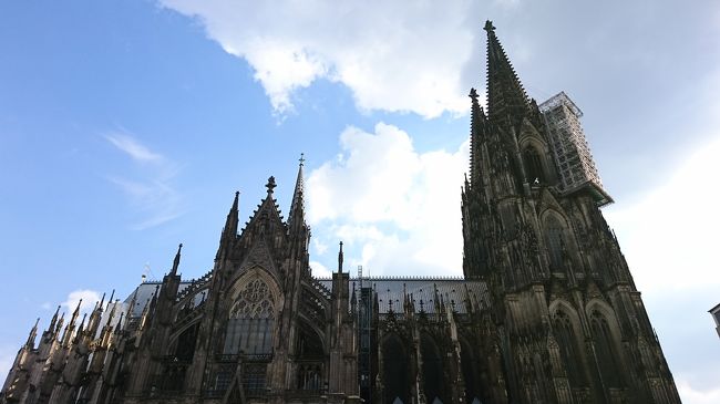 フランクフルトへの個人旅行をしてきました。<br />目的は飛行機の撮影とノンシュバンシュタイン城、ケルン大聖堂、見学。そしてミュンヘンでも飛行機の撮影です。<br />フランクフルト空港の外周には、撮影ポイントがあり、電車で行けます。地元の方しかしませんでしたが、とても親切にしていただきました。<br />ノンシュバンシュタイン城は個人では行くのが難しいと思い、現地ツアーに参加しました。<br />ホテルでのピックアップをお願いしましたが、迎えに来たのはなんと予定の1時間後。<br />その間電話をしたり、私の英語が通じていないのかと、ホテルのフロントにもお願いしたり。海外ではこれが普通ではと言われて、そうなんだと改めて実感しました。お城の見学は2時間弱、車に乗っていたのは12時間、お城が素晴らしかったので、帳消しですね。<br />ケルン大聖堂は現地のガイドさんの説明で見学をしました。詳しく教えていただき、とても良かったです。<br />大聖堂の前の広場は、チョークでフェルメールの絵を描いている人がいて、とても上手で、思わず声をかけてしまいました。(気持ちですがチップも渡しました)<br />ミュンヘン空港へいく日は生憎の雨。フランクフルト空港はとても広く、人も多く、保安検査所は長蛇の列。どうなることかと思いましたが、どうにか搭乗。座席指定のチケットなのに、何回も座席変更の連絡、当日は非常口シートのため、英語の話せる人と変われと言われ、座席指定の別料金はなんだったの？とちょっと思ってしまいました。<br />ミュンヘン空港も広く、とてもきれいでした。<br />一駅先に展望台があり、そこで撮影の予定が、風雨に負け、そのまま空港へ。<br />ミュンヘン空港からの飛行機は、トラブルなのか、待たされ、気になり聞きに行っても、まだなにもわからないの、の返事。結局1時間遅れでの出発。そのあとはホテルへ帰るだけだったので良かったですが、乗り継ぎだったらと思うと、ちょっとドキドキですね