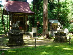 ふくい　境内に敷きつめた緑のカーペット　平泉寺白山神社 2018夏