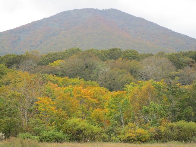 八甲田・田代平湿原の鮮やかな紅葉