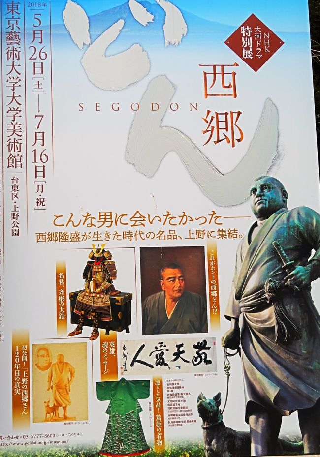 【西郷どん】　東京藝術大学大学美術館で特別展　☆館内撮影はできないが<br /><br />NHK大河ドラマ特別展「西郷どん」 <br />会期　2018年5月26日（土） - 7月16日（月・祝）<br />会場　東京藝術大学大学美術館 本館 展示室1、2、3、4<br />主催　東京藝術大学、NHK、NHKプロモーション<br /><br />明治維新から150年、2018年の大河ドラマの主人公は西郷隆盛です。<br /> 薩摩（鹿児島）の一介の下級武士から身を起こし、明治維新を成し遂げた西郷隆盛。しかし、この稀代の英雄には、肖像写真が一枚も残っておらず、その生涯は多くの謎に包まれています。<br />本展覧会は大河ドラマと連動しながら、西郷隆盛ゆかりの歴史資料や美術品などによって、「西郷どん」の人物像と激動の時代を浮き彫りにします。<br /> 西郷の風貌を最も忠実に伝えるとされる肖像画や、座右の銘を記した書「敬天愛人」。西郷がその婚礼に尽力した篤姫が所有していた華麗な調度品には多くの展覧会初公開品が含まれます。また幕府瓦解のきっかけとなった幕末の最重要史料「討幕の密勅」も登場。そして、あの有名な銅像「上野の西郷さん」の制作過程を物語る新出写真まで、西郷隆盛の魅力のすべてを味わいつくす展覧会です。 https://www.geidai.ac.jp/museum/exhibit/2018/segodon/segodon_ja.htm　より引用<br />