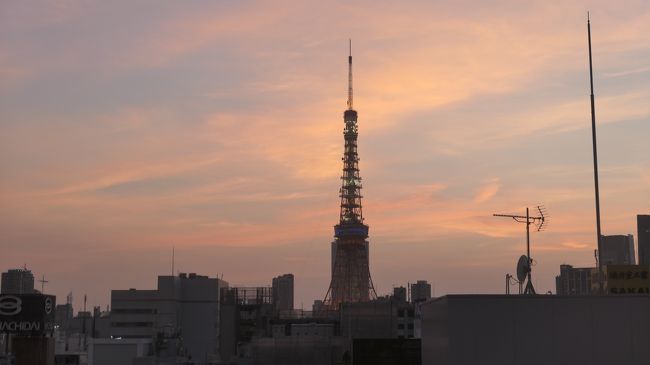 ネットを見ていると、『変なホテル』というホテルを発見。ちょうど組合関係で東京に出張するときがあったので、予約しmした。浜松町のホテルを予約したので、久しぶりの東京タワーにも行ってみました。