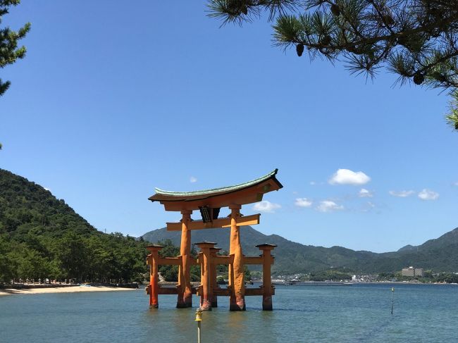 出張のついでにふらりひとり旅の広島、２日目は厳島神社にいってみました。