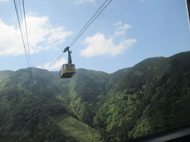 雲辺寺ロープウエイで、1000ｍまで登って、香川県のお寺巡り。<br />雲辺寺さえこなせば、楽勝だと思ったら、甘くなかった。<br />540段の階段が待っていた