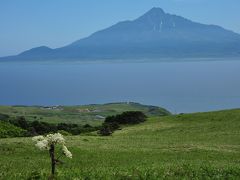 やっと行きました！利尻島、礼文島巡り 1