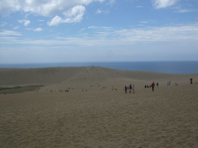 大山で一泊、2日目に砂丘を見てのバス旅行。前日からの台風２０号の影響を少しだけうけながら熱い日程でした。大山は初めてで、涼しく過ごせるかと思いきや台風の去った後の蒸し暑さ・・・・まいったなあ。砂丘は２回目でしたが前回と違った体験でリフトで山側からの海岸を眺望でき満足でした。