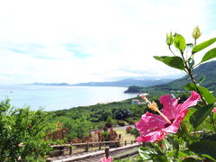 夏休みほとんど雨の石垣旅行☆一日目　玉取崎展望台　川平湾