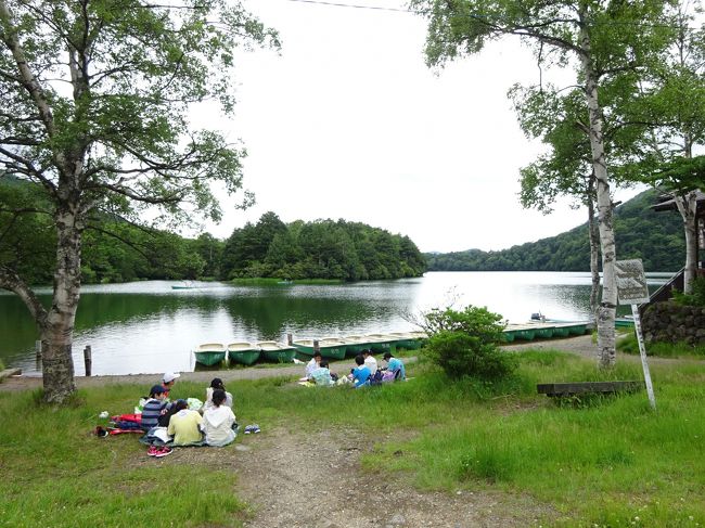 暑い暑い。ホントに暑い今年の夏。<br />ということで早くも夏バテ気味になってきた７月中旬、少しでも涼しさを求めて、群馬県の片品村と栃木県の奥日光に日帰りで出かけてきました。<br /><br />群馬県側の尾瀬の玄関口である片品村から、県境の金精峠を越えて、奥日光の湯元温泉にやってきました。<br />あまりにも有名な観光地である奥日光ですが、今まで全然縁がなく、実はこれが来るのは初めて。<br />さすが標高も高く、周辺は高原の雰囲気でしたね。<br />私が住む平野部と比較して、最高気温が10℃近くも低く、周辺の散策中もとても爽やかでした。<br /><br />その後、バスに乗って日光市内へ。<br />途中、これも楽しみにしていたいろは坂。ここを通るのも初めてなんですよ。<br />登りよりも、下りの方が楽しそうに感じたので、今回はこちら方面にこだわってみました。<br />もうほとんど、アトラクションとしてしか考えてないような…（爆）