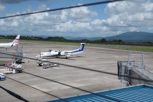 ANA特典航空券 鹿児島羽田往復 | onixtransportservices.com