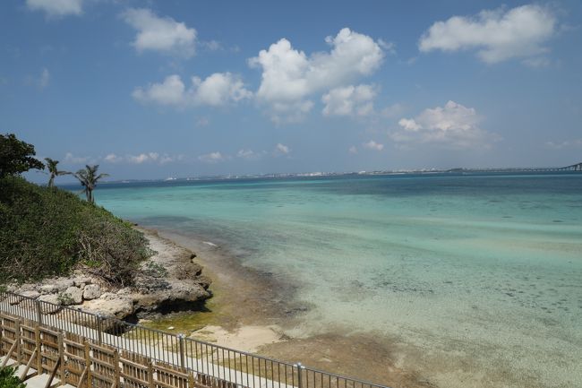 初めて宮古島に行きましたが、想像以上に綺麗な海でした。シュノーケリングで楽しみました。