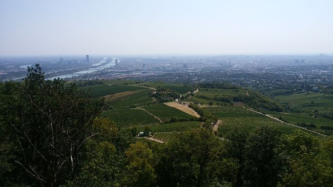 ウィーンに2日間の滞在です。<br />その後トランジットで台湾を1日滞在し帰国。<br /><br />【航空券】エバー航空 96500円<br />【宿】ホステル ウィーン2泊 約6000円<br /><br />行きたいところをピックアップしただけで、ほぼノープランだったので、時間のロスはいっぱいしました。しかし、それも旅の醍醐味。勉強になったこともあった。<br />海外に来たらなるお腹空かない病が発症し、つまらない物になりました。その分観光。時間が少なすぎる。あと、もう一日いれば満喫できたかな?<br /><br />さて、ウィーン1日目のはじまりはじまり~