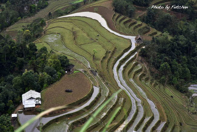 このツァーは「西遊旅行」により企画・催行されたツァーで、<br />ベトナム最北山岳部ディエンビエンフーからハジャンの小民族の町村を巡り<br />ここに住む人達の生活や民族衣装をはじめとする文化に触れるツァーです。<br />　<br />行程・マップは1枚目の写真としてアップしています。