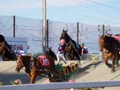 北海道　新千歳空港から札幌、帯広、釧路、たんちょう釧路空港