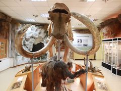 2018年シベリア・サハ共和国ヤクーツクへの旅（13）ヤロスラフスキー北方民族歴史・文化博物館（前編）セミクジラとマンモスの全身骨格から始まって