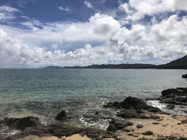 命の洗濯に行ってきました。